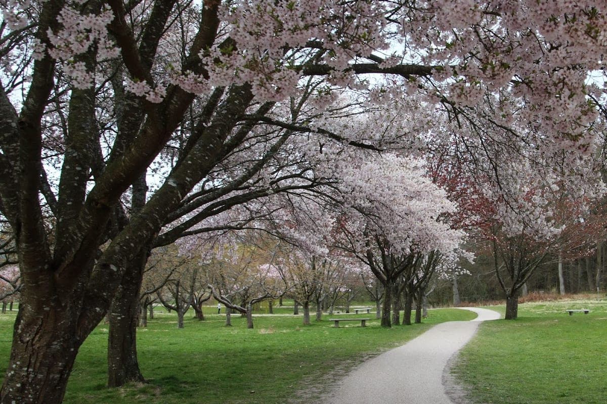 Marselisborg Royal Park