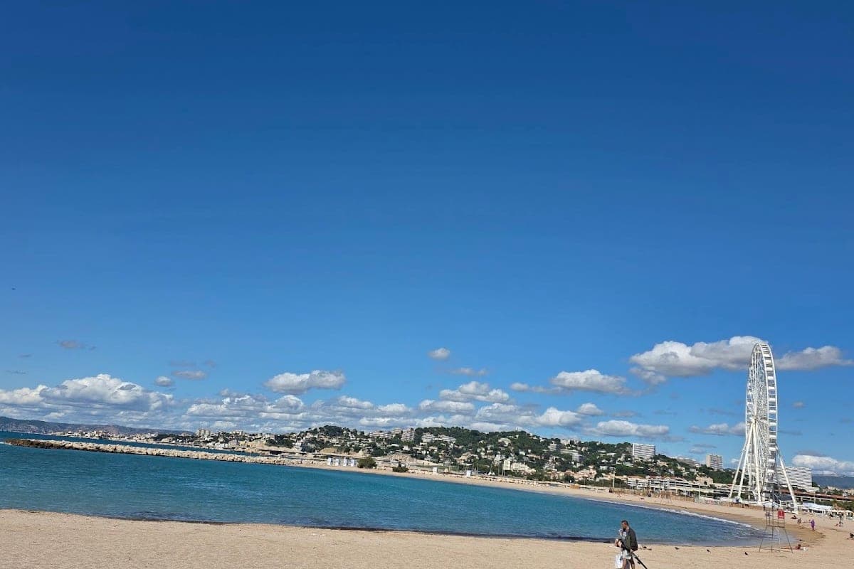 Plage de Bonneveine (Marseille, year-round dog beach)