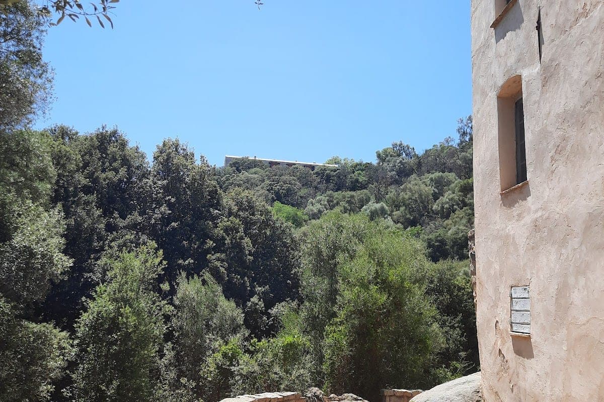 Jardin des Milelli