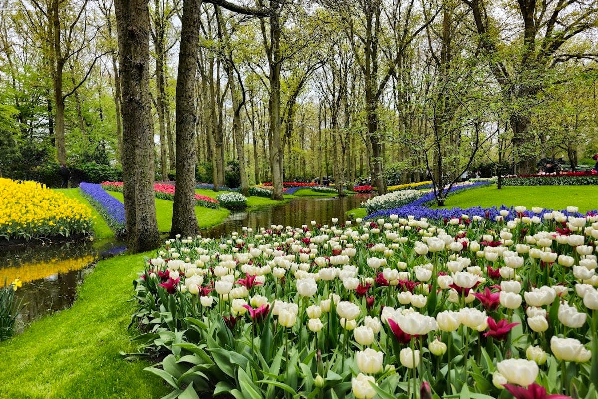 Keukenhof Gardens (day trip. Lisse)