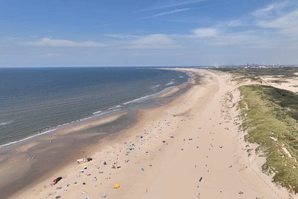 Zandvoort aan Zee. Dog Beach (Hondenstrand)