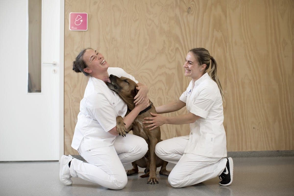 MCD. Medisch Centrum Voor Dieren