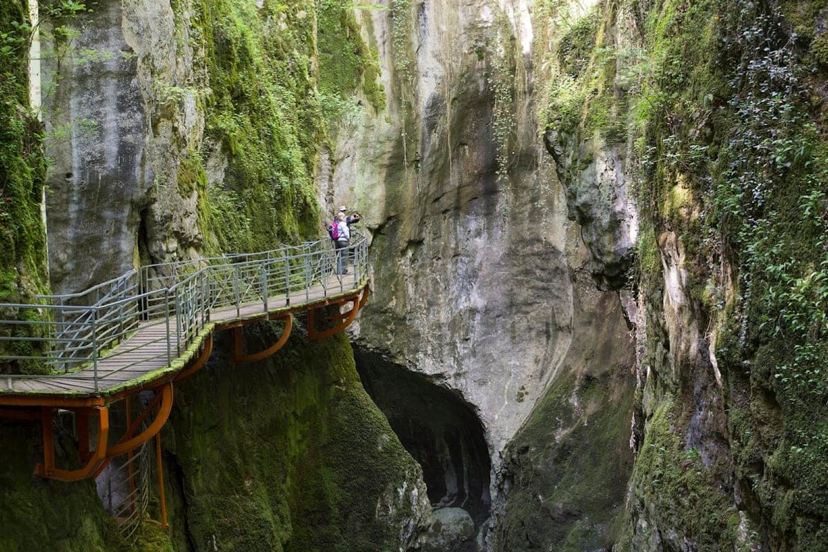 Cross-border day trips
