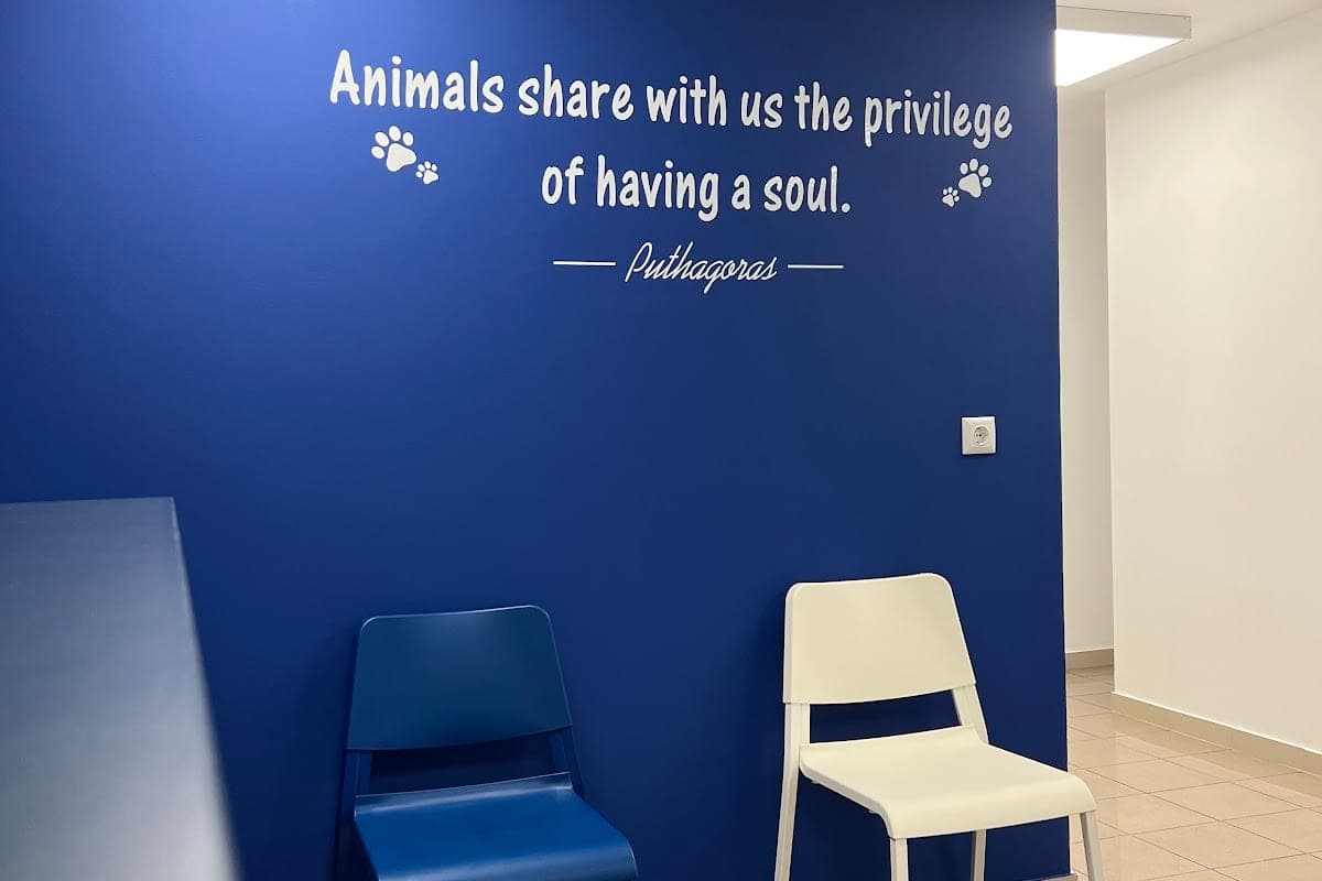 Veterinary Clinic Kolonaki