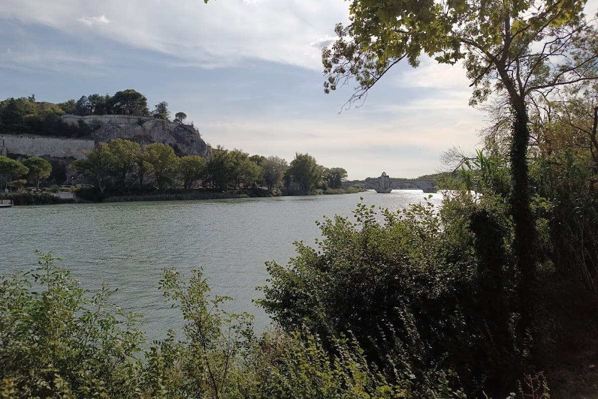 Île de la Barthelasse