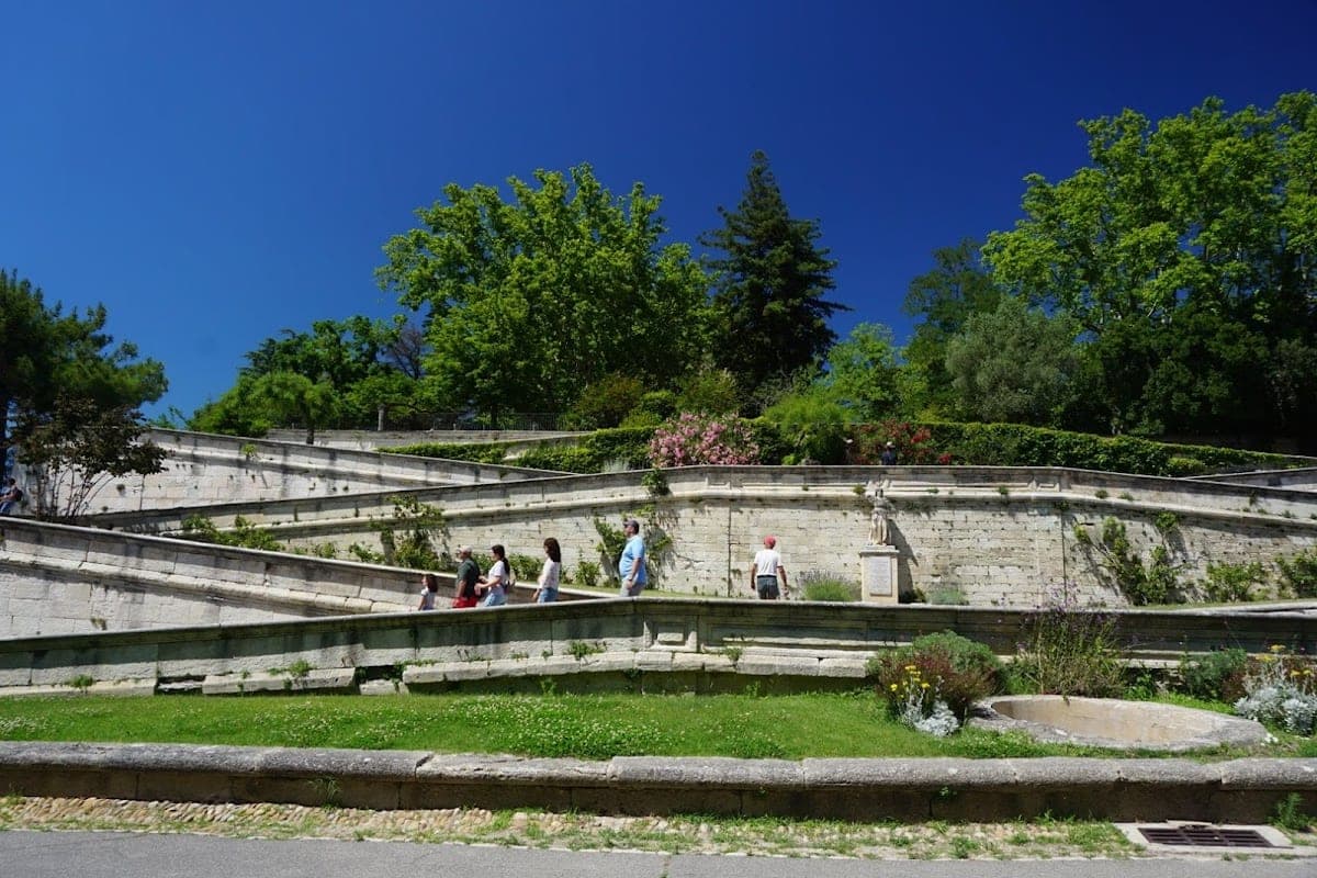 Best season for visiting Avignon with a dog