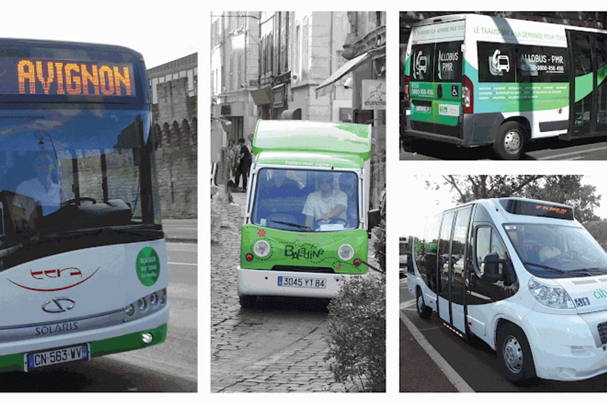Orizo City Buses