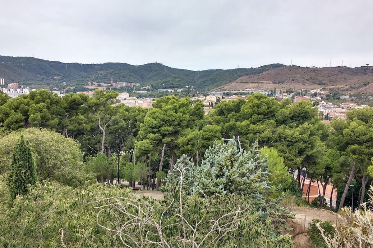 Parc del Turó de la Peira