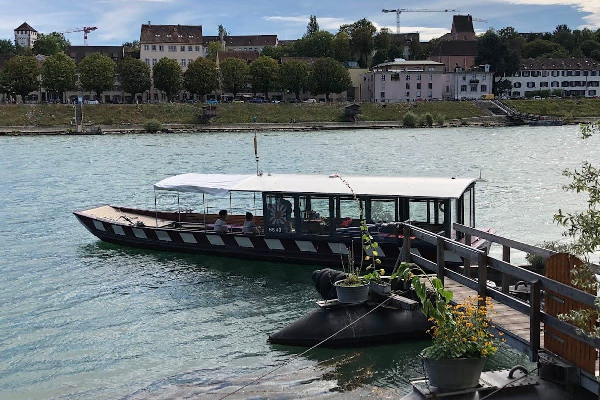 Rhine Ferries (Fähren)