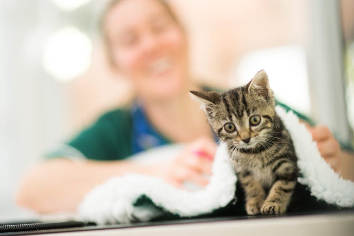 Bath Veterinary Group (Days Centre)