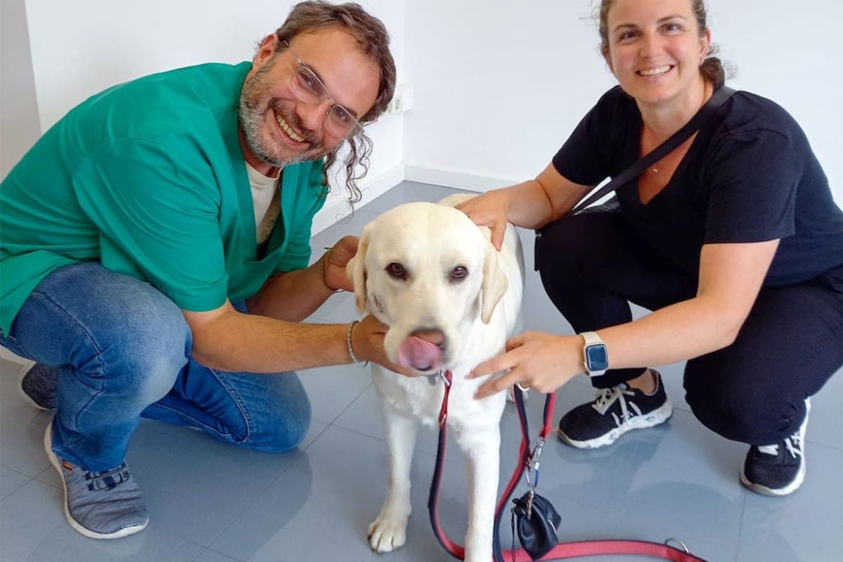 Centre Veterinari PalafruVet (Palafrugell)
