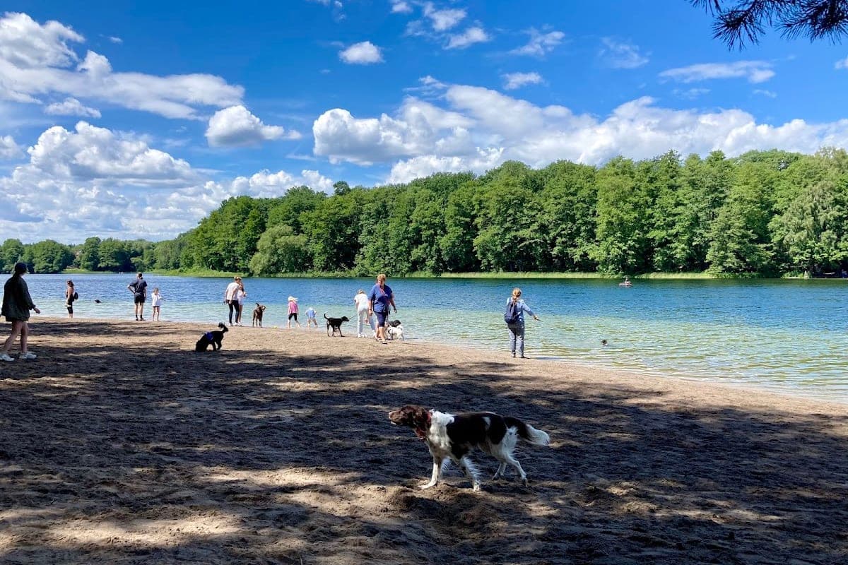 Wannsee — Hundestrand (Dog Beach)