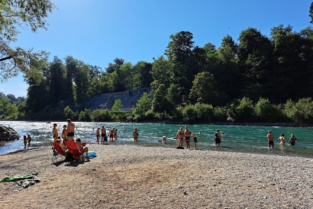 Eichholz Aare meadows