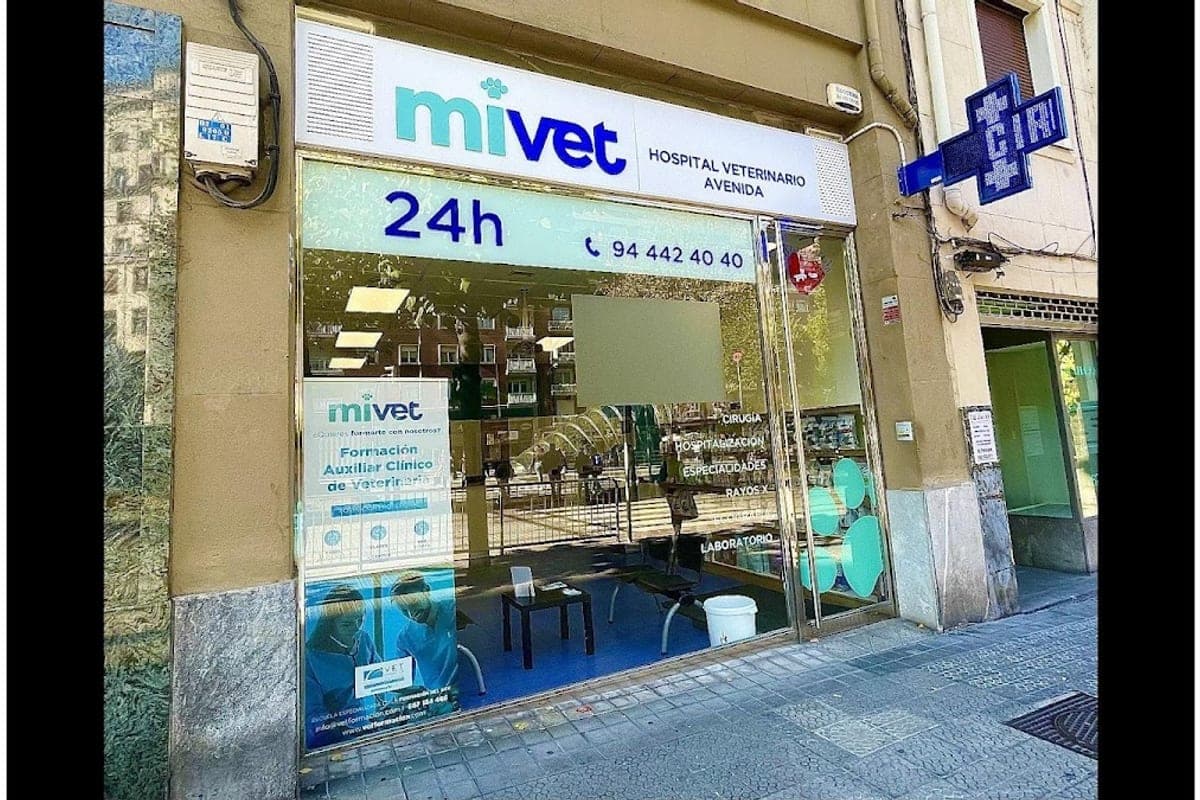 Veterinaria Bilbao (24h Emergency)