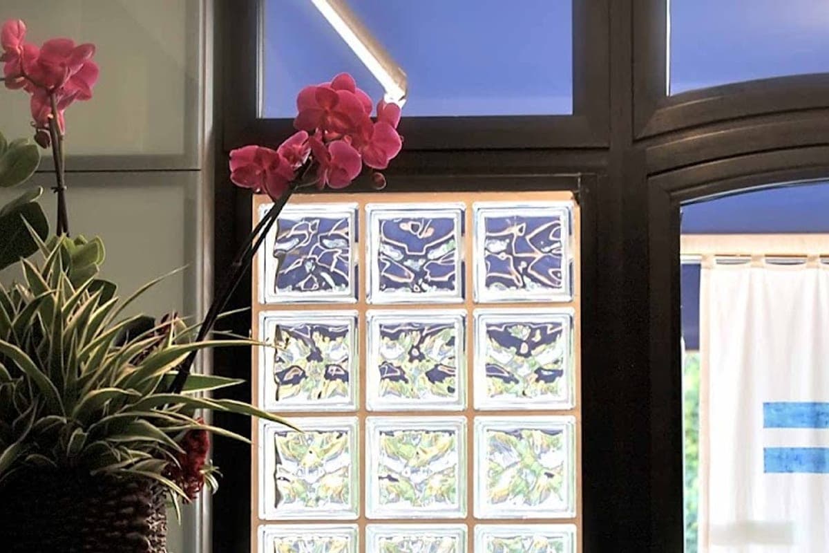 Ospedale Veterinario Giardini Margherita — Bluvet