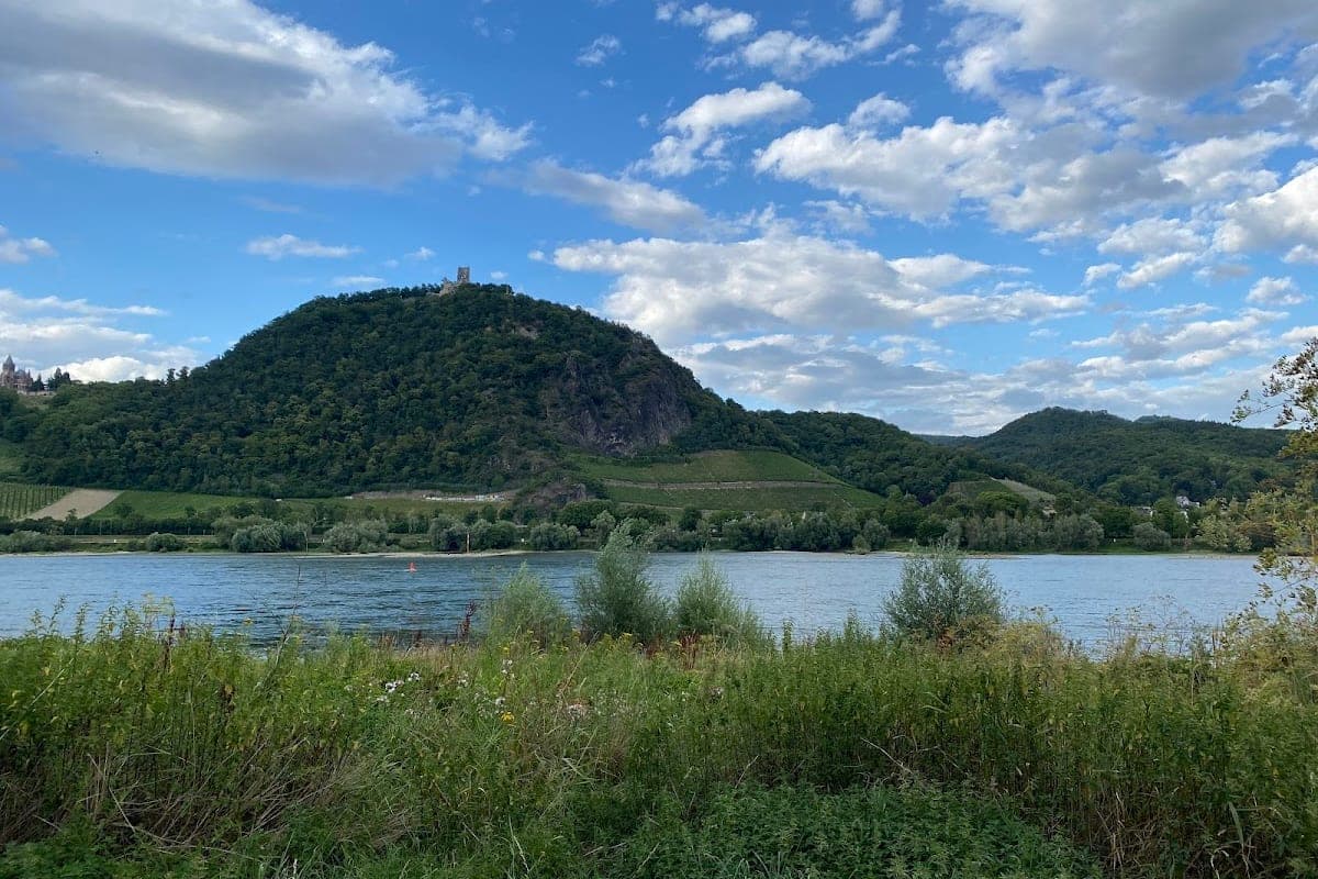 Mehlemer Werth (Rhine Bay)