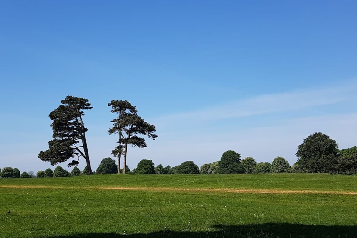 The Downs (Clifton & Durdham)