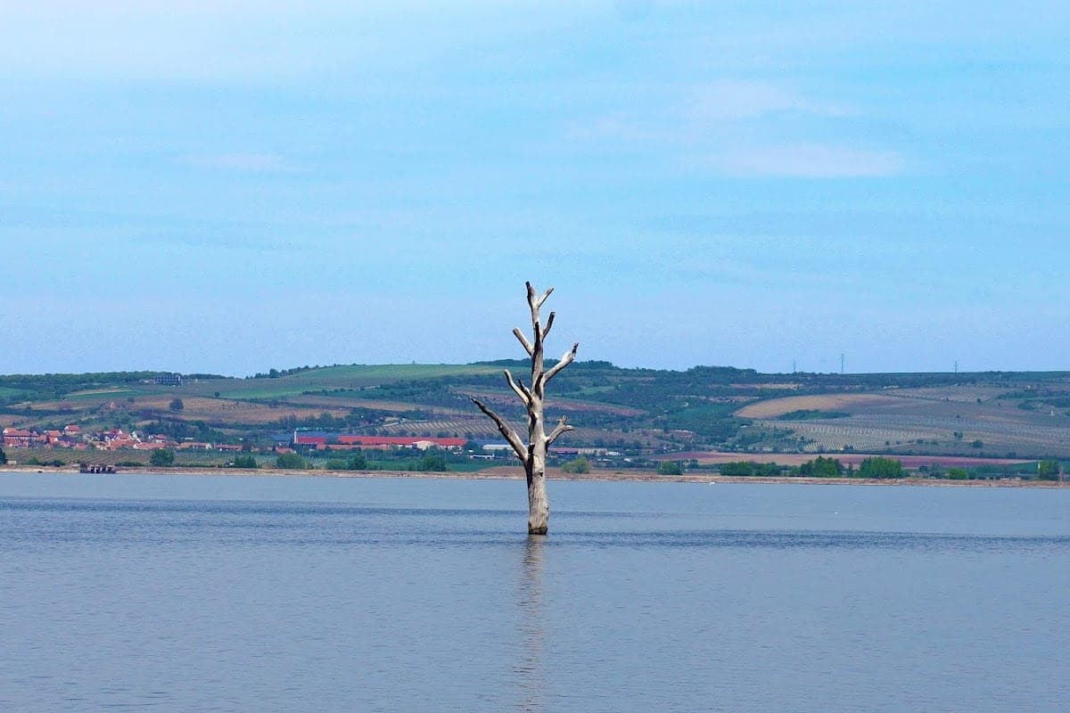 Nové Mlýny Reservoirs
