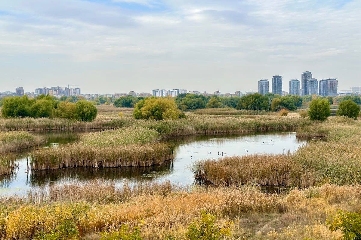 Văcărești Nature Park