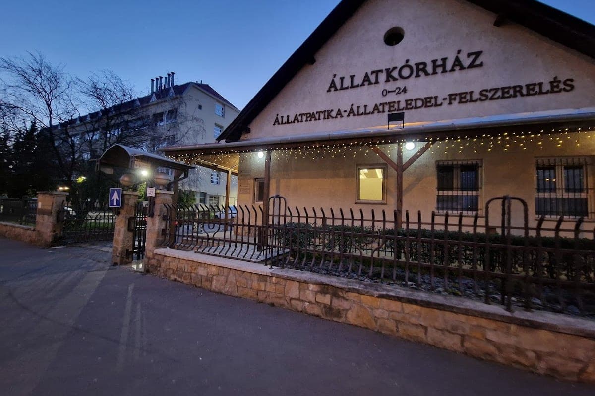 Budai Állatkórház