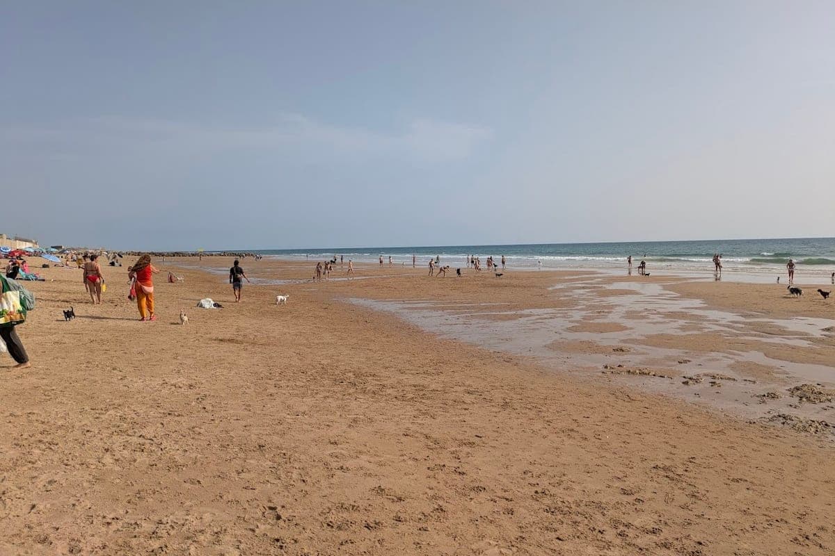 Playa de Torregorda (zona canina)