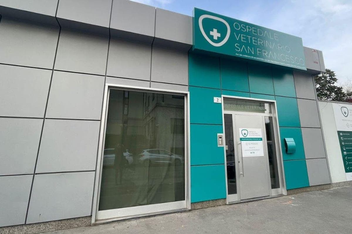 Ambulatorio Veterinario San Francesco