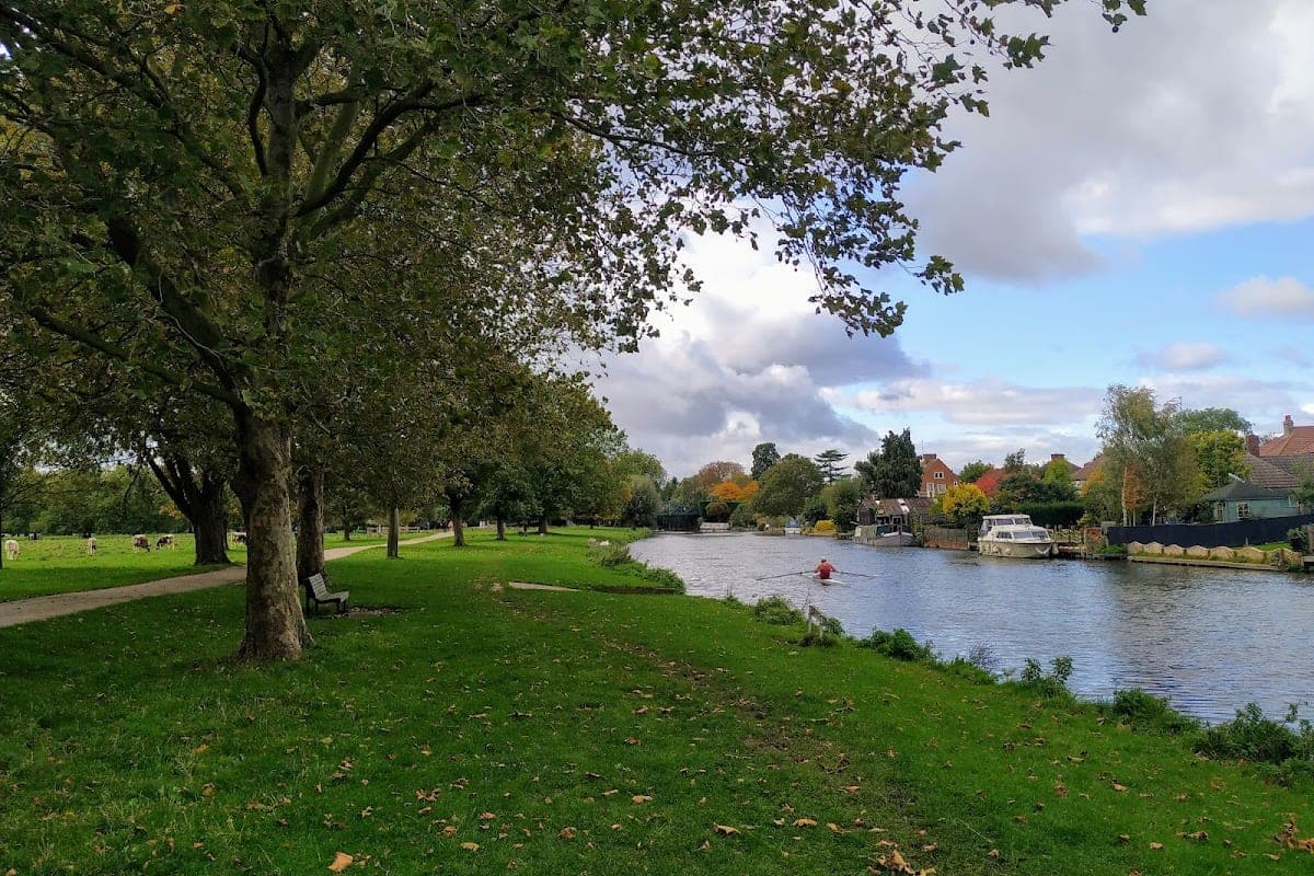 Best season for visiting Cambridge with a dog