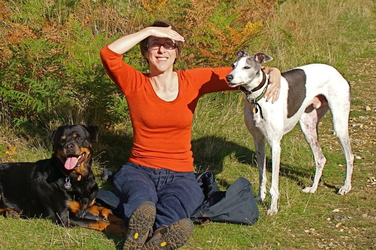 Walking Cambridge with a dog