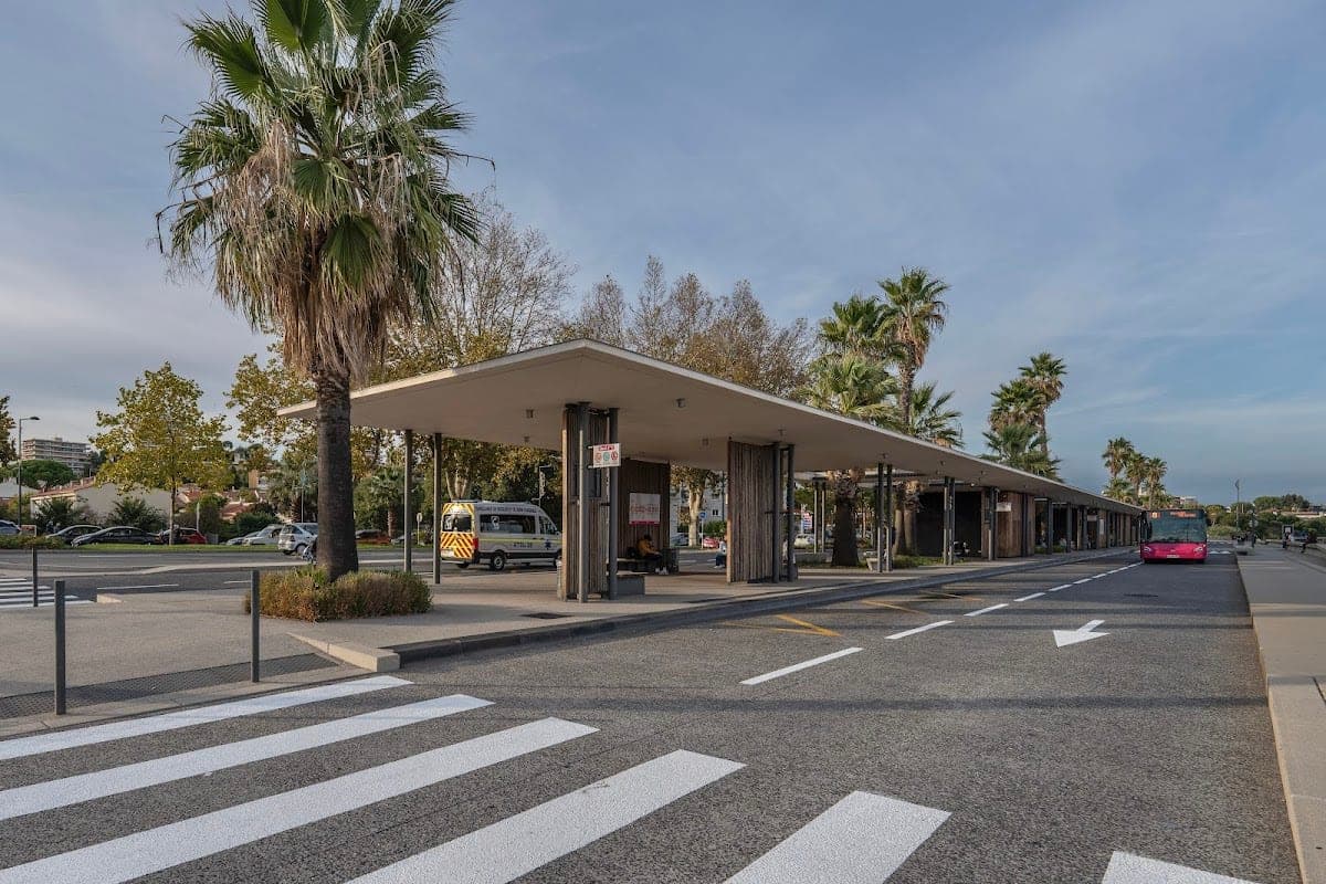 Envibus (Réseau urbain de Cannes)