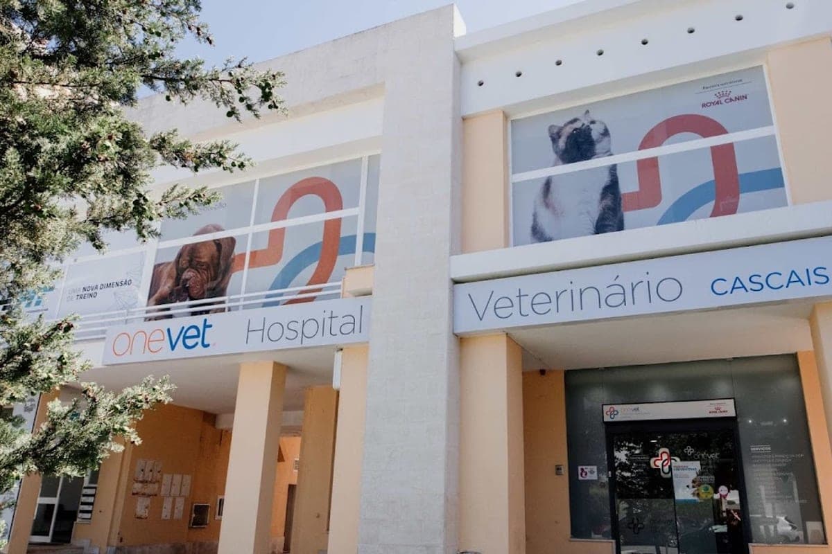 CASVET — Hospital Veterinário Cascais (OneVet)
