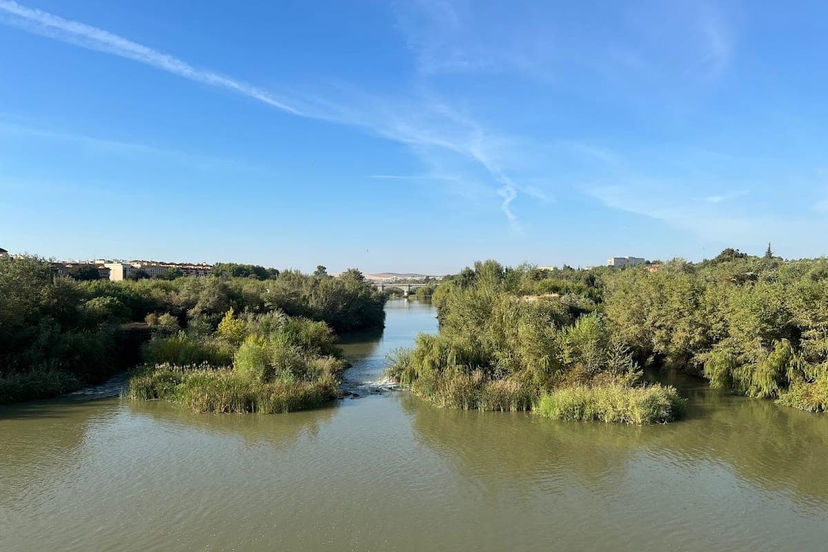 Sotos de la Albolafia