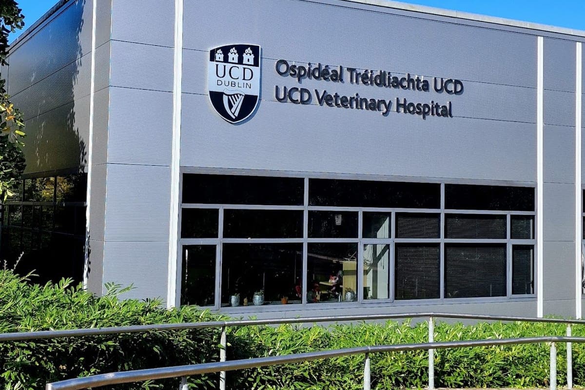 UCD Veterinary Hospital