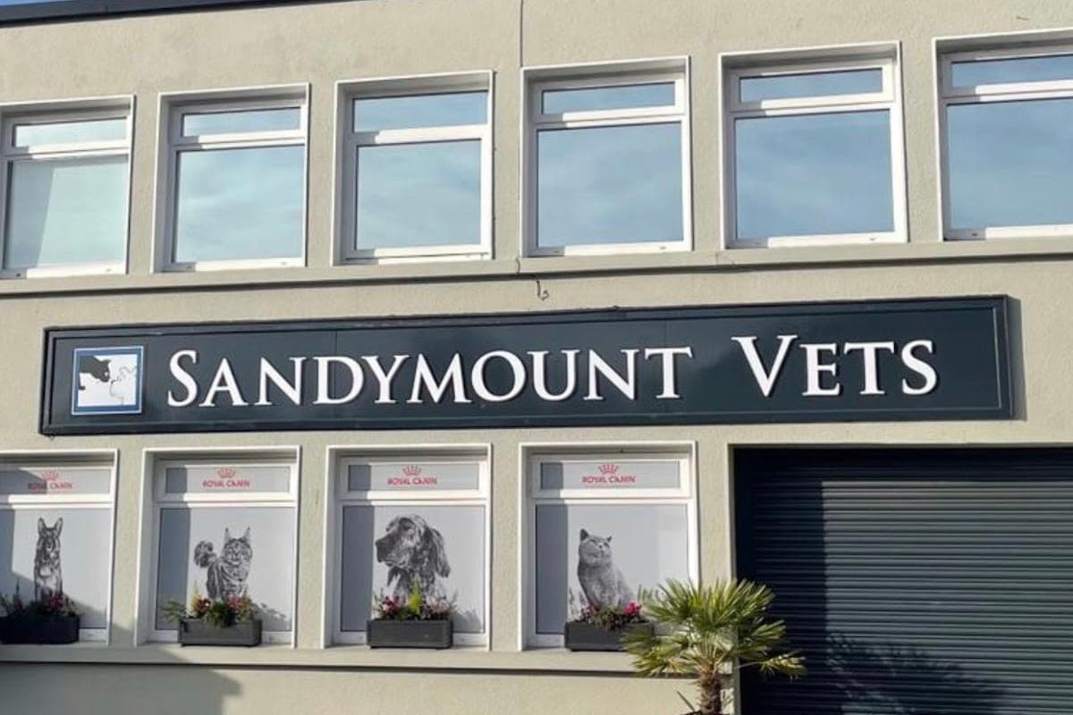 Veterinary Emergency Clinic Sandymount