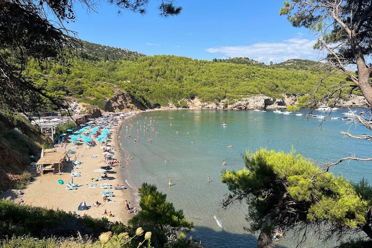 Šunj Beach, Lopud Island (Elaphiti)