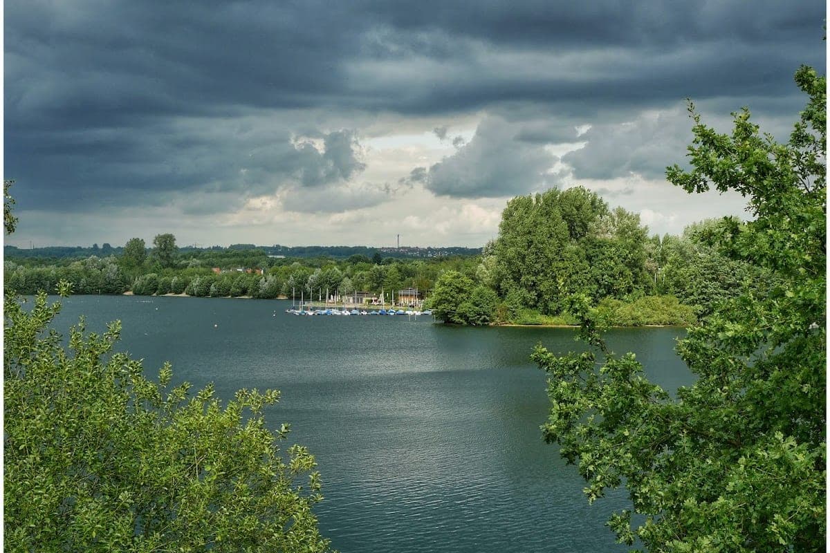Elbsee — Hundebadestelle