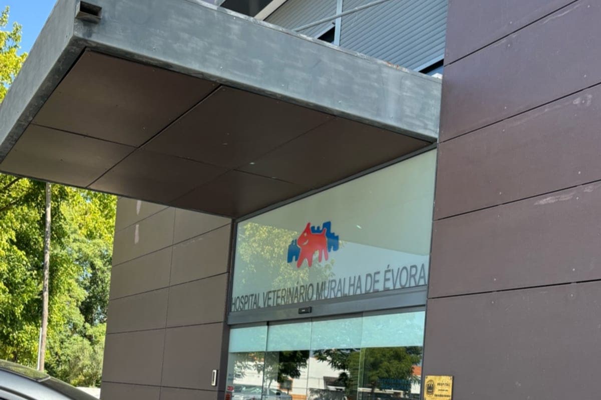 Clínica Veterinária Anicura Évora