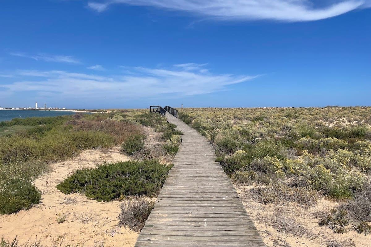 Ria Formosa Boardwalk