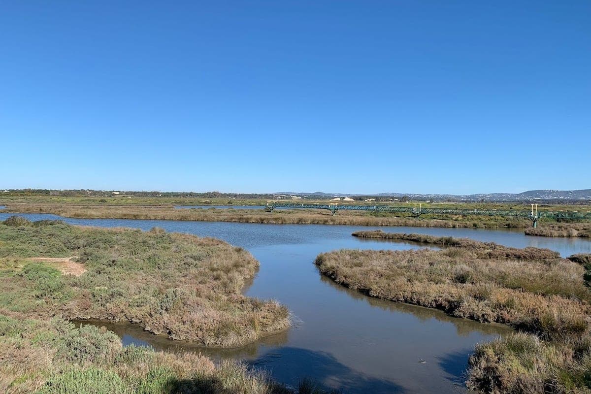 Best season for visiting Faro with a dog