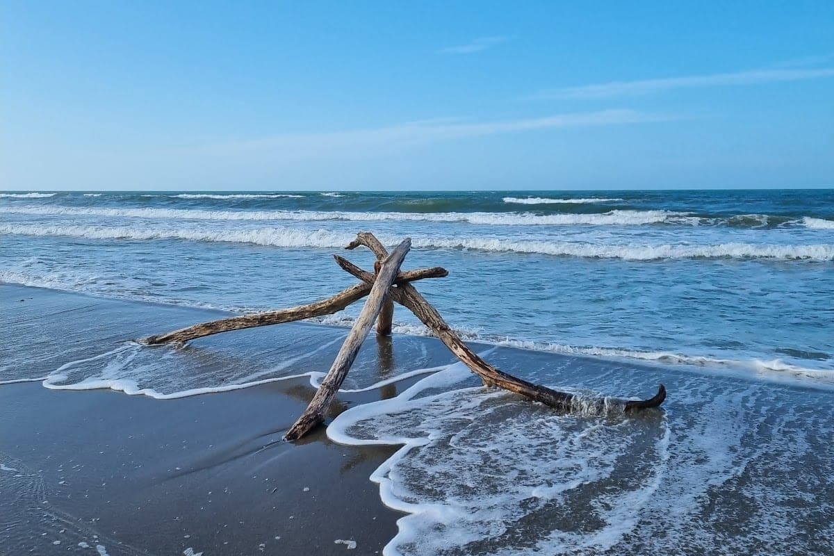 Viareggio — Spiaggia per Cani