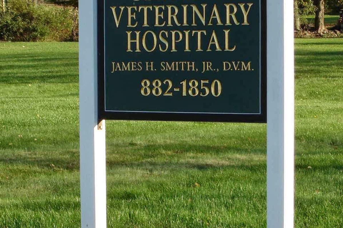 Anicare Galway Veterinary Hospital