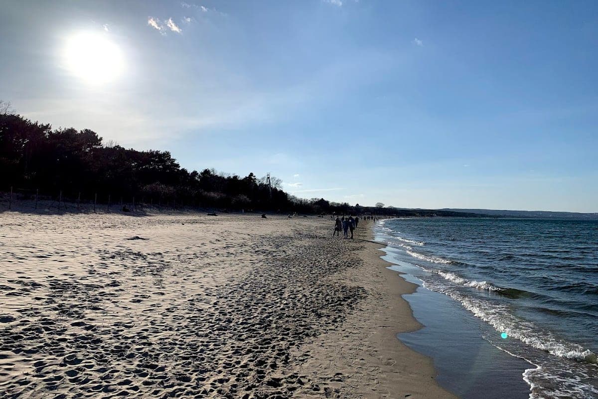 Brzeźno Beach (Dog Zone)