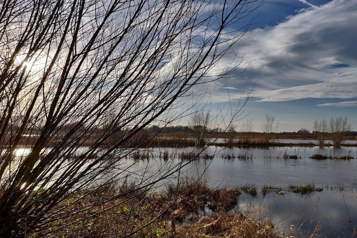 Bourgoyen-Ossemeersen Nature Reserve