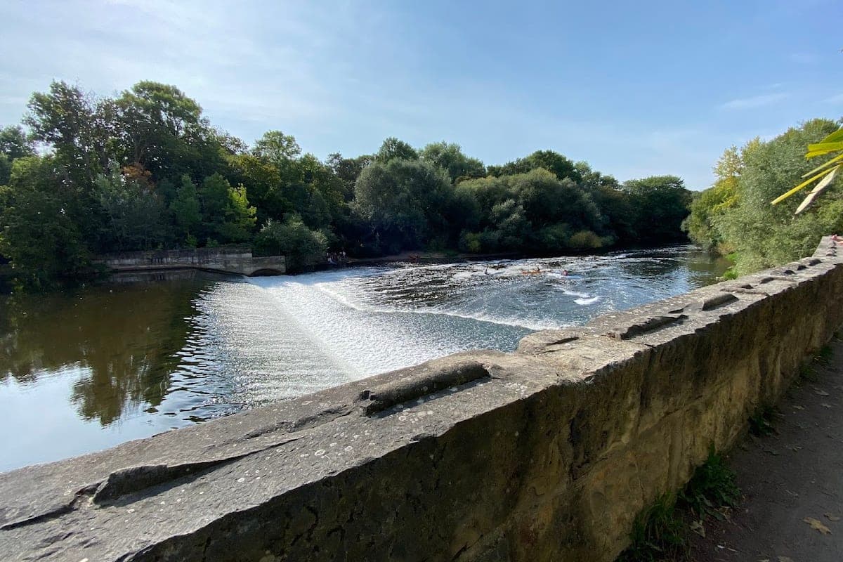 Leine Riverside and Leineinsel