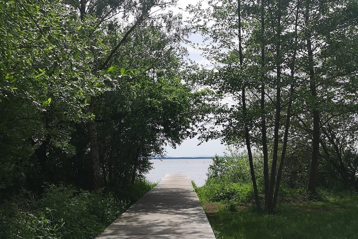 Steinhuder Meer Hundestrand
