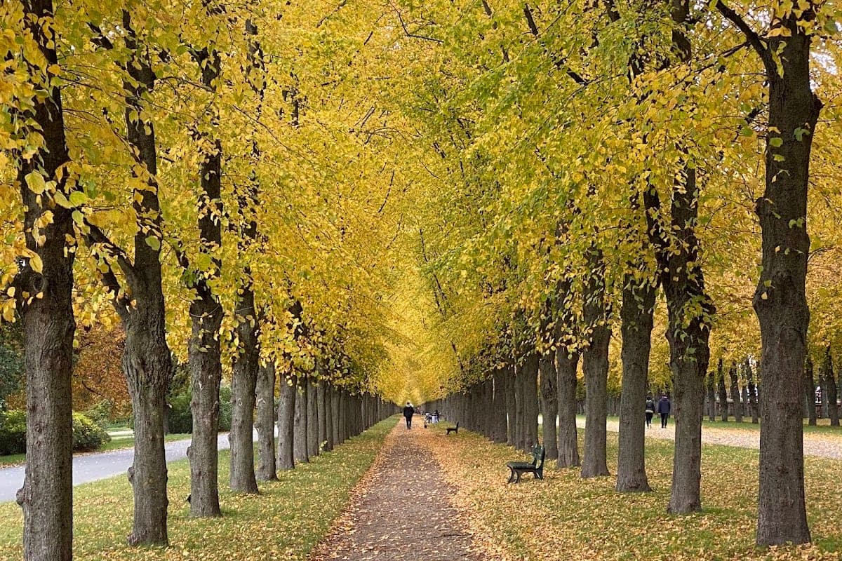 Herrenhäuser Gärten (Georgengarten)