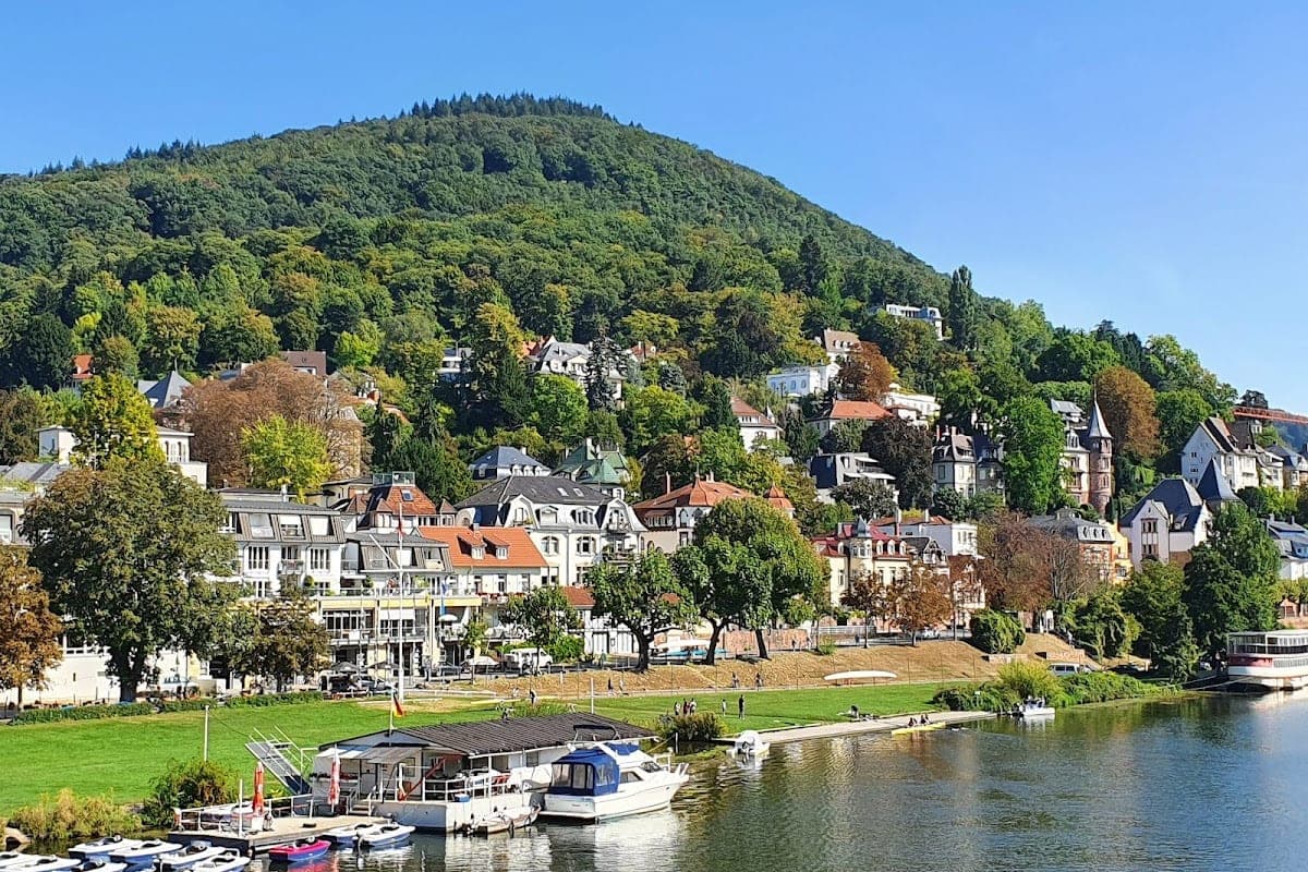Neckarwiese