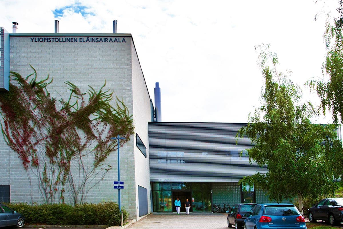 Yliopistollinen eläinsairaala (University Veterinary Teaching Hospital)