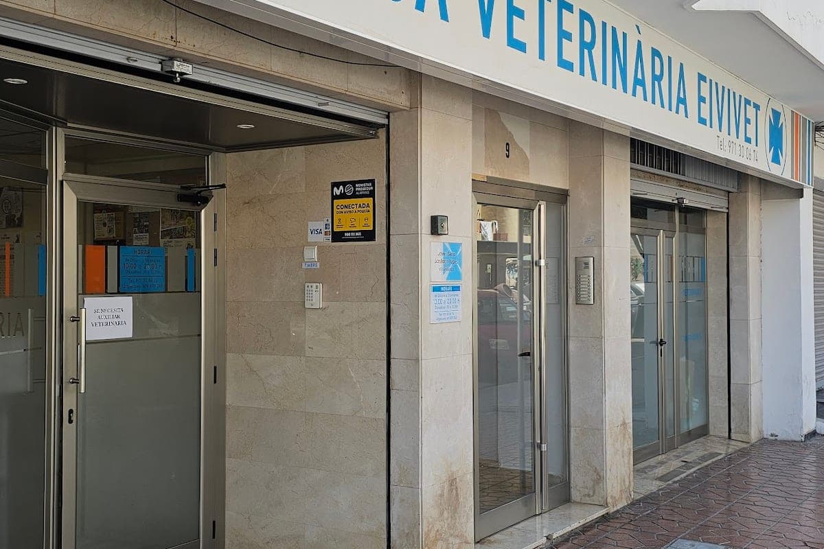 ICVS Ibiza (Centre Veterinari)