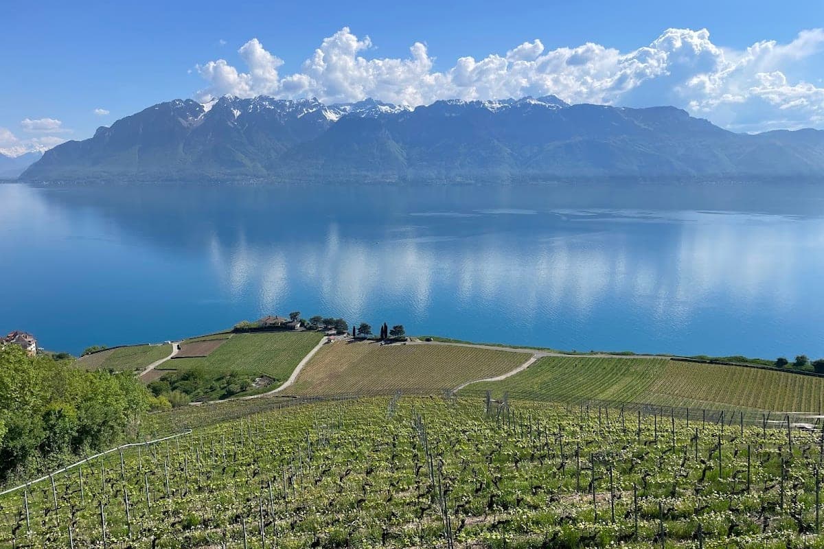 Lavaux UNESCO Vineyards
