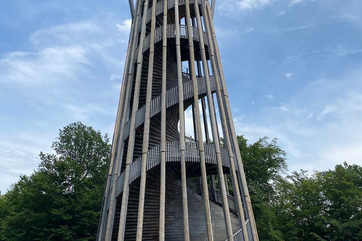 Forêt de Sauvabelin